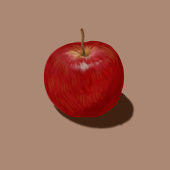 des_animaux
