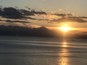 庵