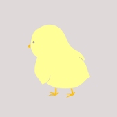 D子