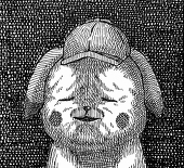 にじあと