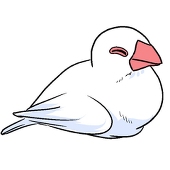 白桜志乃