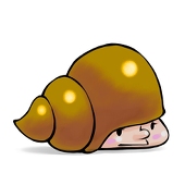 ワンコイン