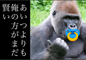 筋肉ゴリラパイセン