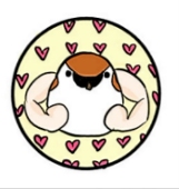 ちゃんみお