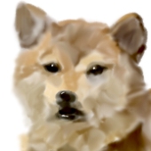 め ゐ ろ