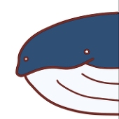 ザトウクジラ