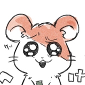 포🦥