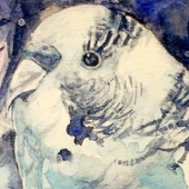 呼鳥