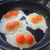汪汪