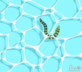 Dino
