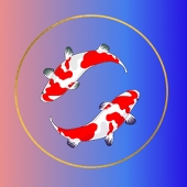 コイマ