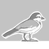 群鳩電軌