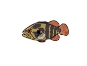 よづる