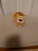 なぎ