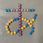 雑魚寿司