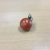estーエソすら釣れないー