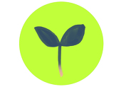 ますね🌱