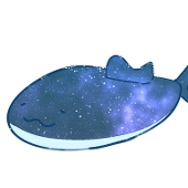 じん🦈