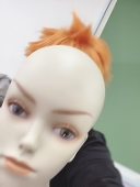 あおもの