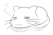 日和猫
