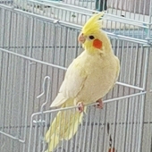 风水间