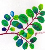 gaozoo