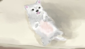 ぽぽぽんぽん