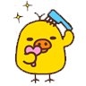rumiduck
