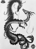 Tianlong084