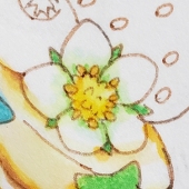 あろう