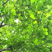 木守部屋