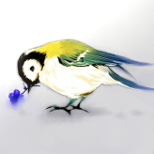 カトリ