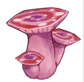 おっと