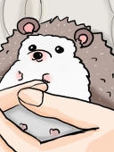 くここ