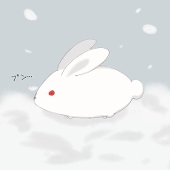 瑠璃雪兎