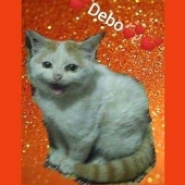 debo