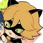 葵