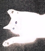 **あこ