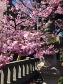 もん