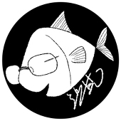 沙其