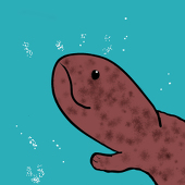 さつめむ山椒魚