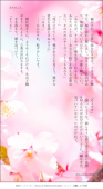 くろまぐろ