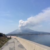 シンシン