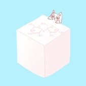 圭
