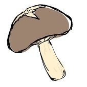 しいたけ