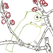 めじろ