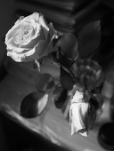 Suza