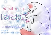はたねこ