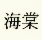 海棠