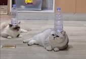 かなりぎこぎこ